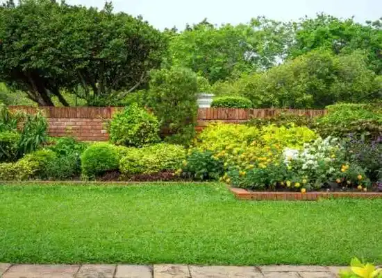 landscaping services Gulf Park Estates